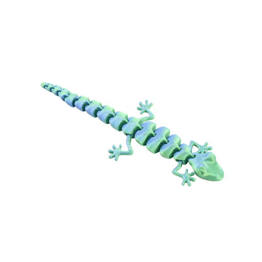 壁虎